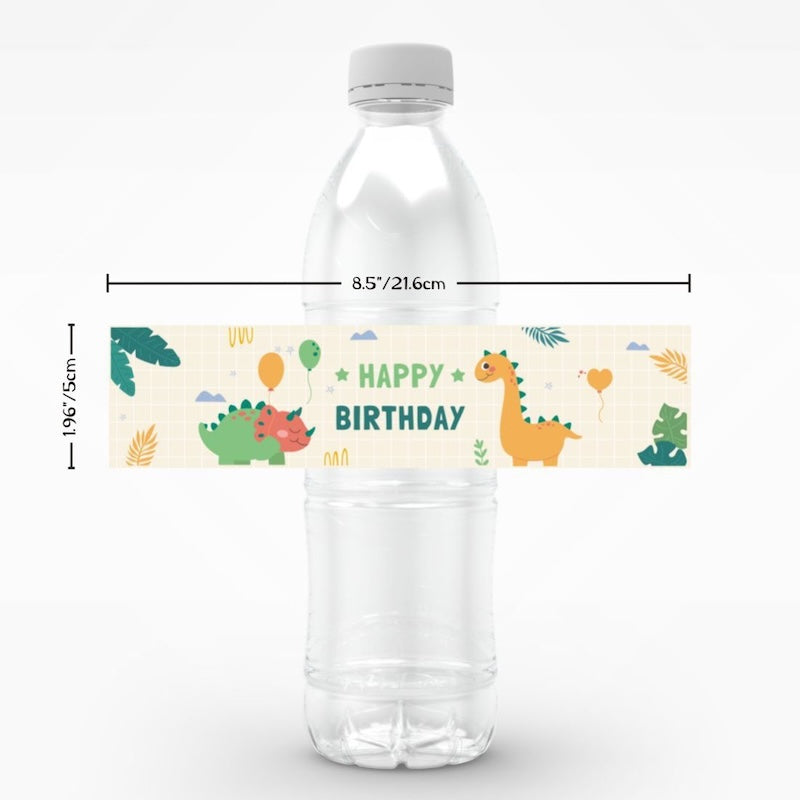Birthday Party Water Bottle Labels 24PCS Set - Cute Dinosaurs